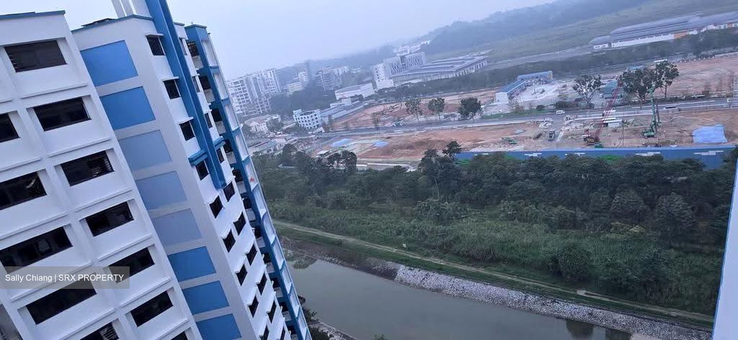 Blk 692B Choa Chu Kang Crescent (Choa Chu Kang), HDB 4 Rooms #627399771